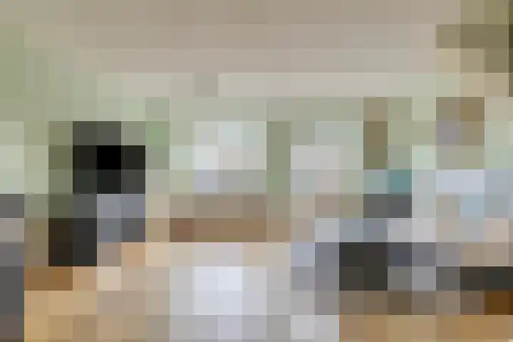Bosgouw 240 Almere thumbnail 5