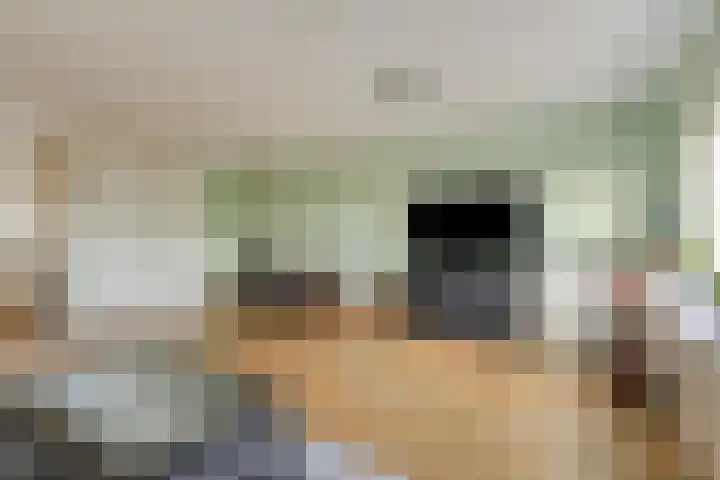 Bosgouw 240 Almere thumbnail 7