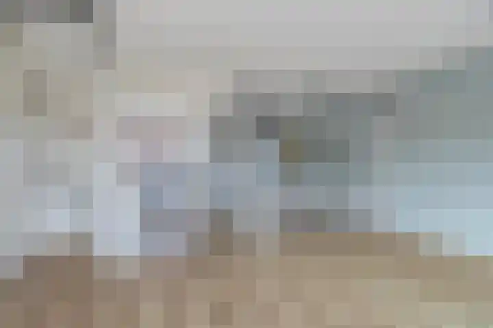Bosgouw 244 Almere thumbnail 11