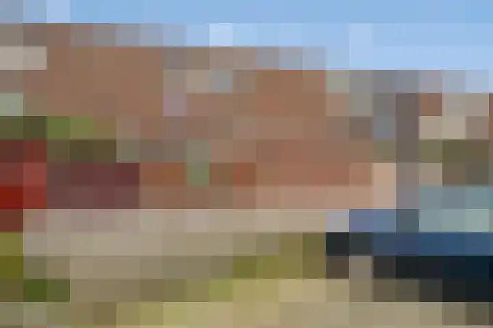 Bosgouw 244 Almere thumbnail 26