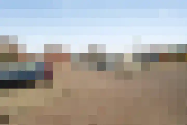 Bosgouw 244 Almere thumbnail 27