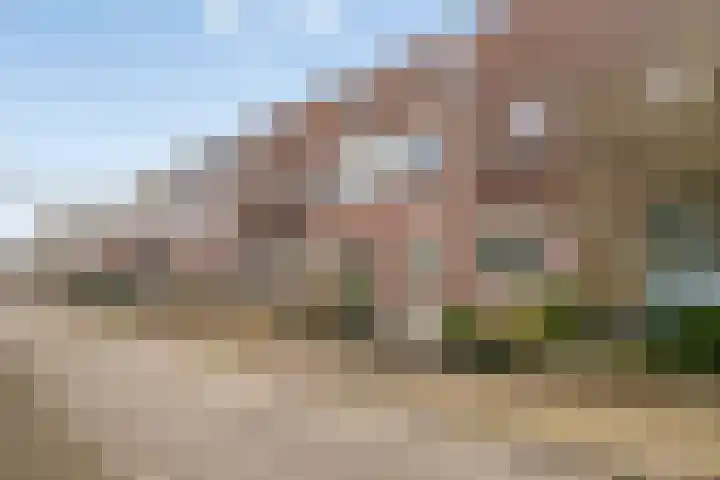 Bosgouw 244 Almere thumbnail 28