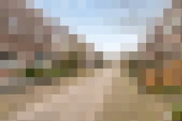 Bosgouw 244 Almere thumbnail 29