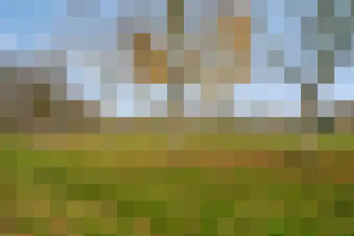 Bosgouw 244 Almere thumbnail 30