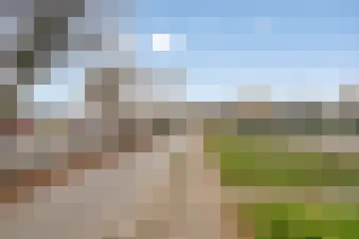 Bosgouw 244 Almere thumbnail 31