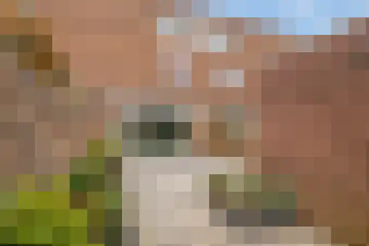 Bosgouw 244 Almere thumbnail 4