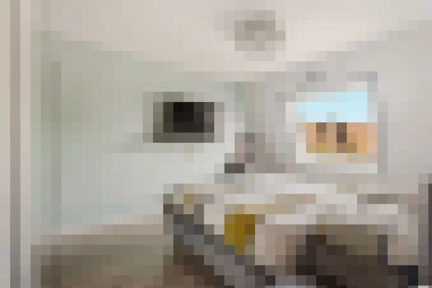 Bosgouw 263 Almere thumbnail 13