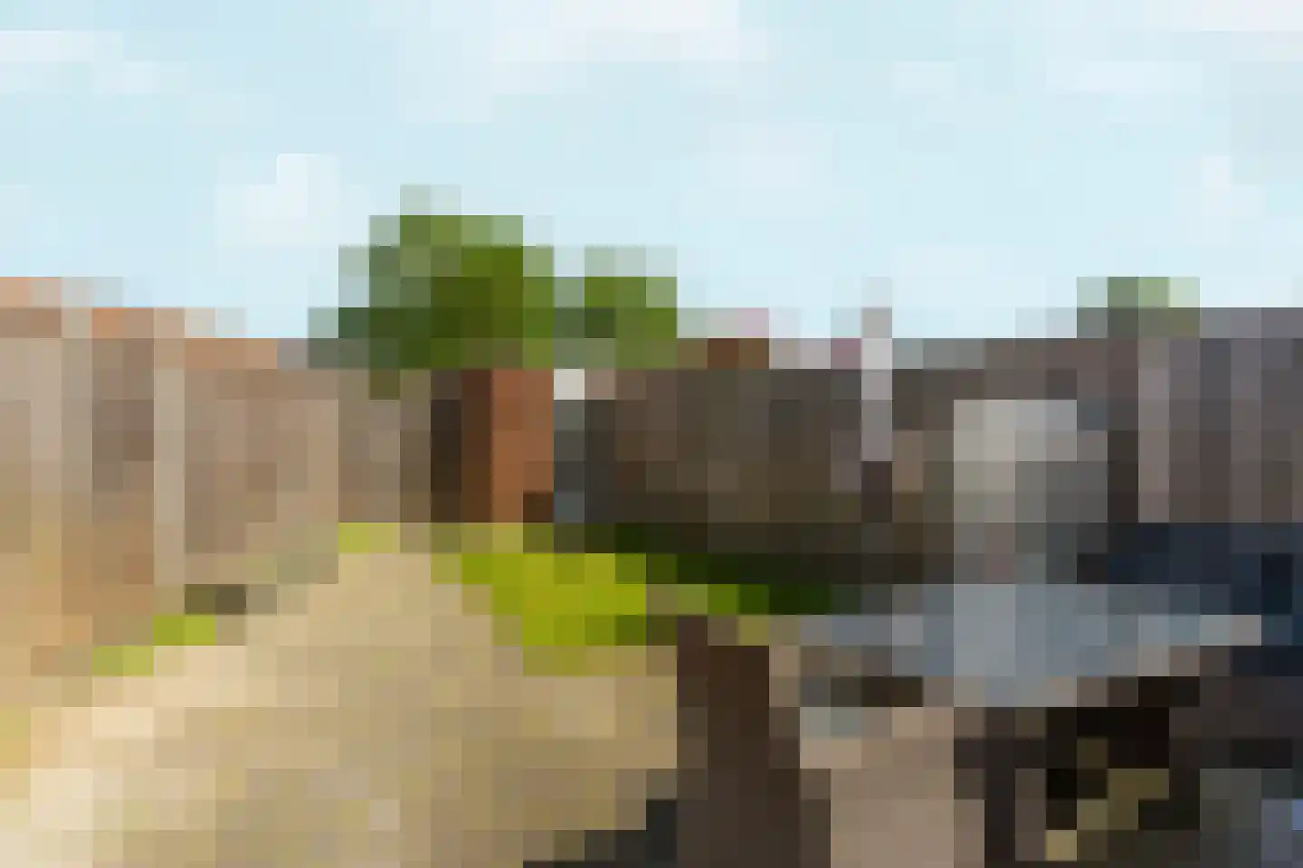 Bosgouw 263 Almere thumbnail 28