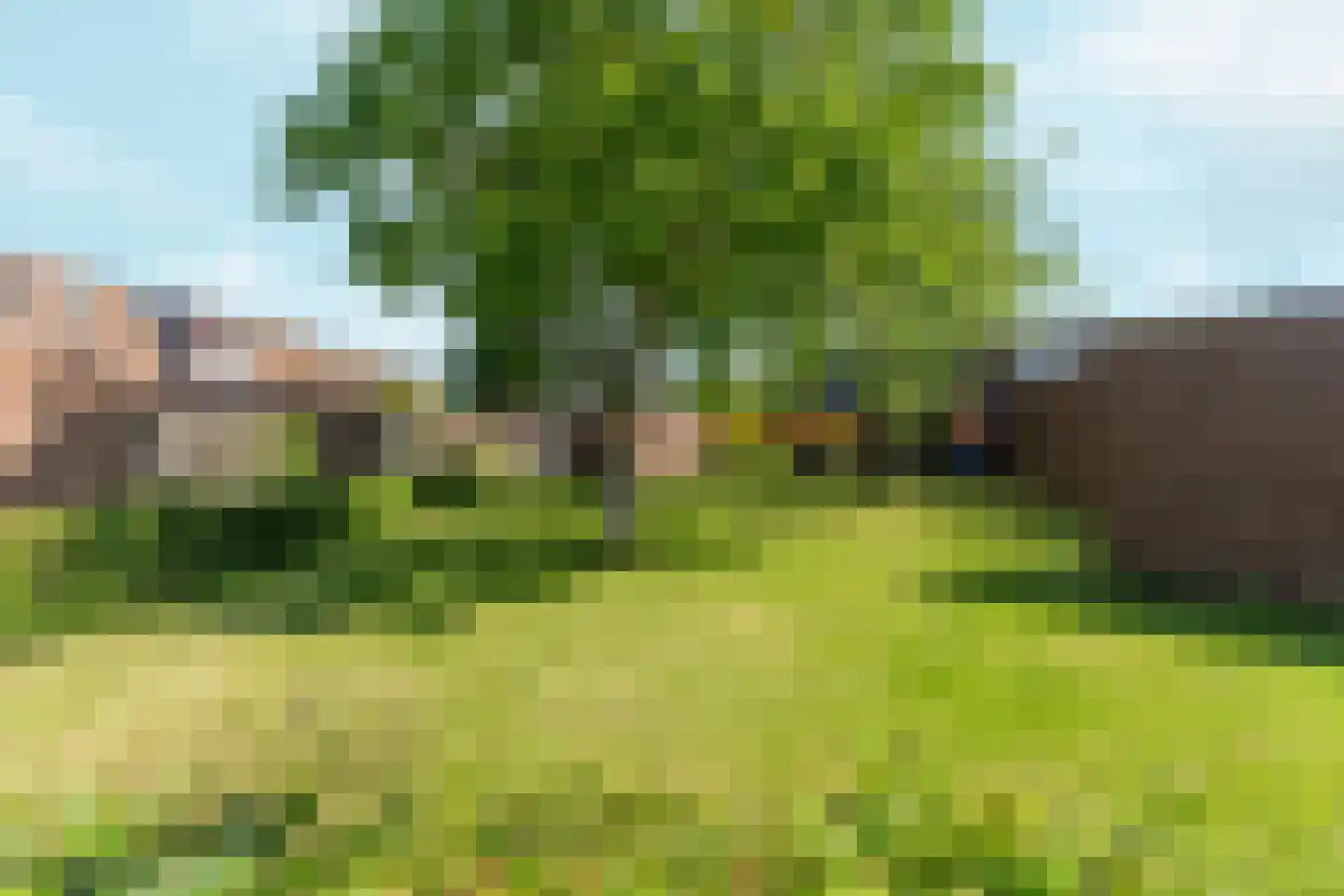 Bosgouw 263 Almere thumbnail 34