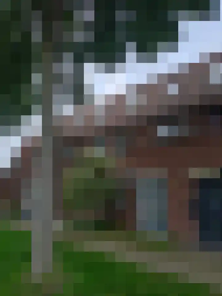 Bosgouw 265 Almere thumbnail 5