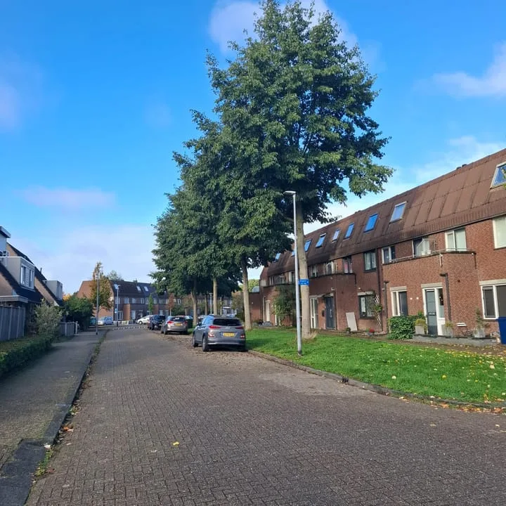 Bosgouw 265 Almere thumbnail 8