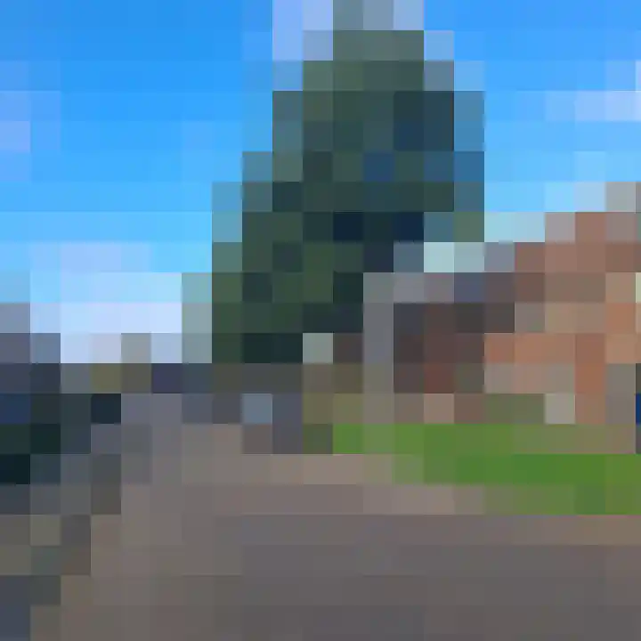 Bosgouw 265 Almere thumbnail 8