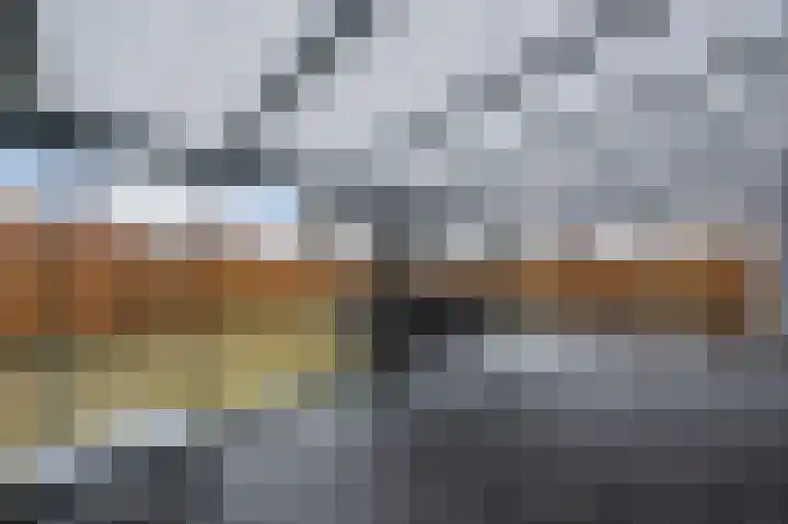 Bosgouw 301 Almere thumbnail 10