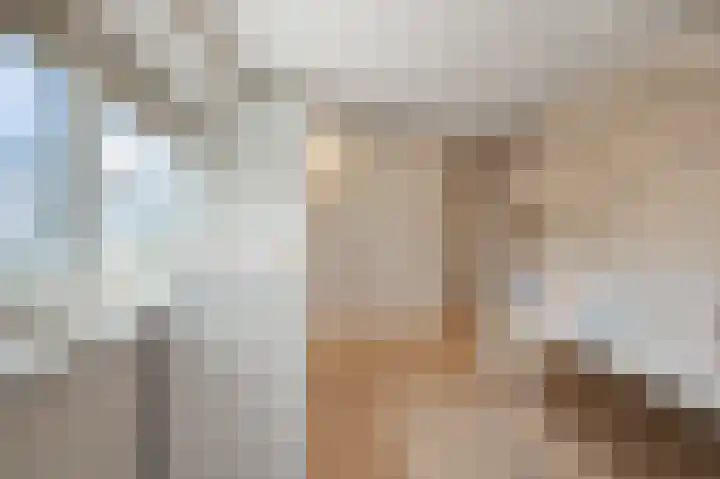 Bosgouw 301 Almere thumbnail 32