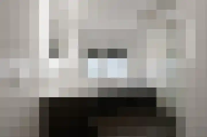 Bosgouw 301 Almere thumbnail 35