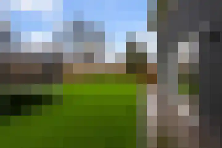 Bosgouw 301 Almere thumbnail 7