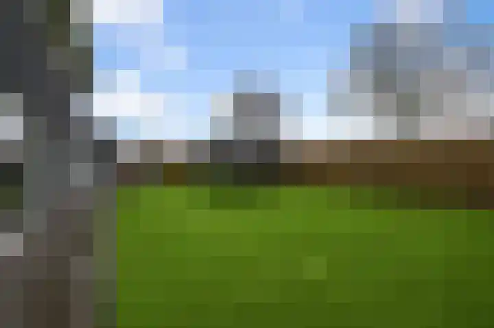 Bosgouw 301 Almere thumbnail 9