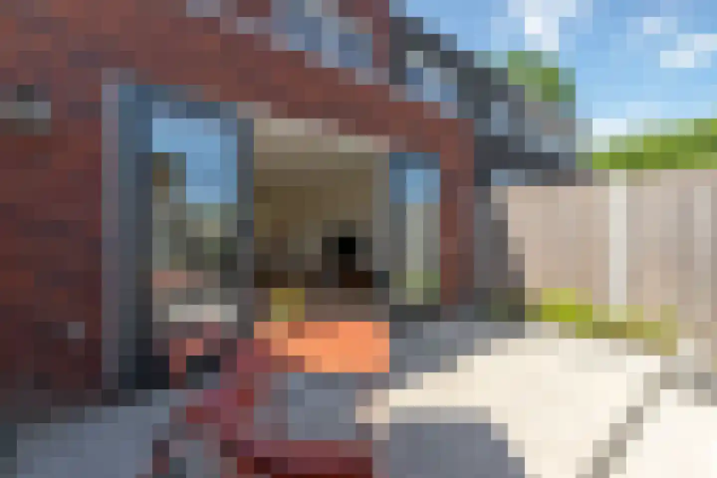 Bosgouw 314 Almere thumbnail 35