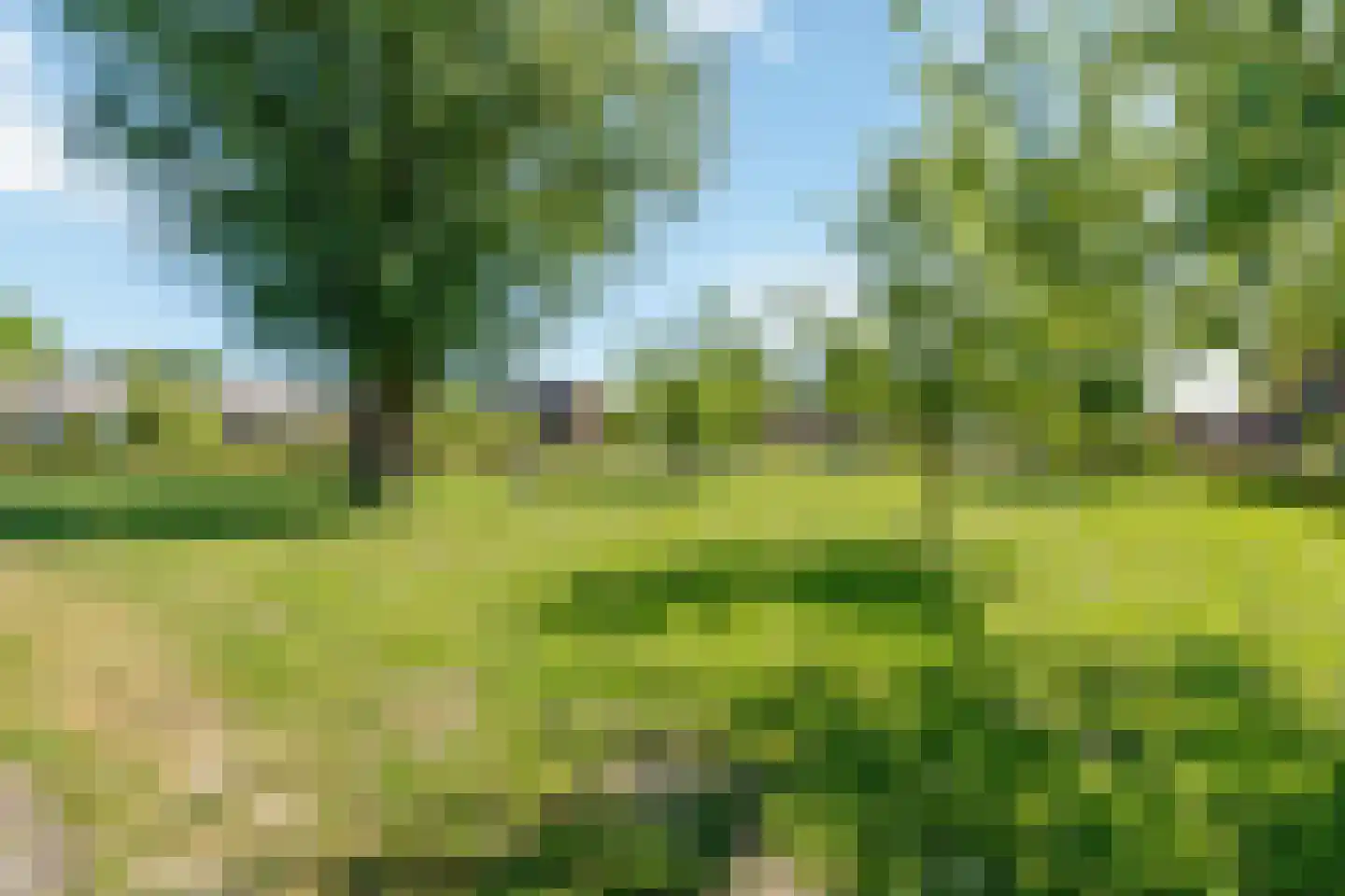 Bosgouw 314 Almere thumbnail 38