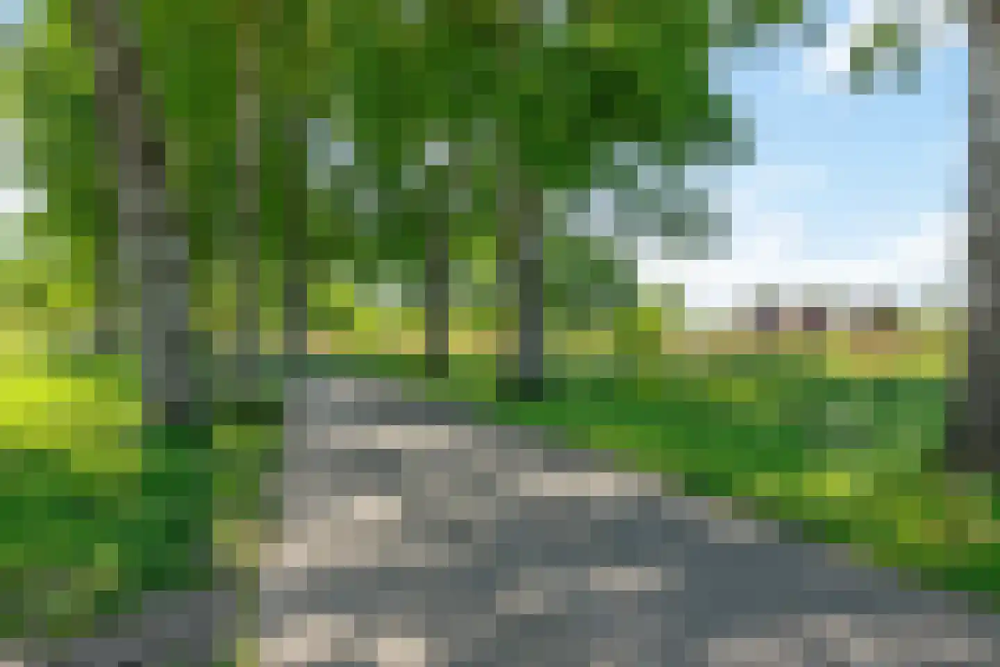 Bosgouw 314 Almere thumbnail 39