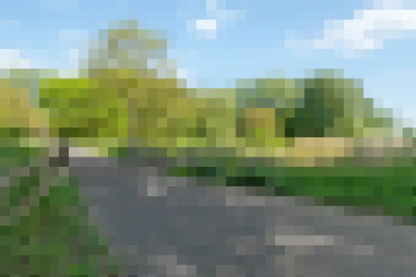 Bosgouw 314 Almere thumbnail 40
