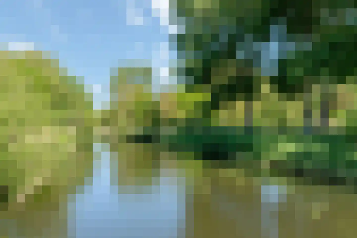 Bosgouw 314 Almere thumbnail 41