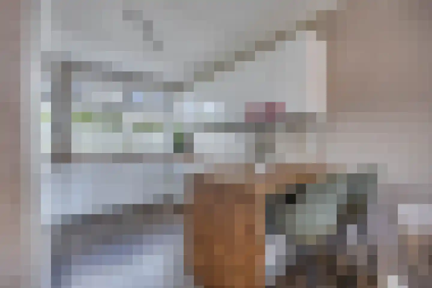 Bosgouw 322 Almere thumbnail 11