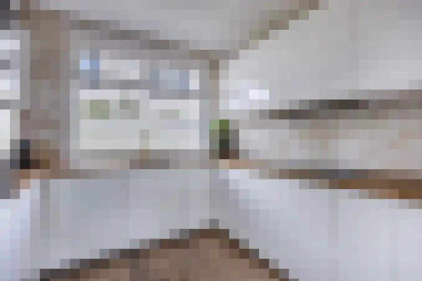 Bosgouw 322 Almere thumbnail 12