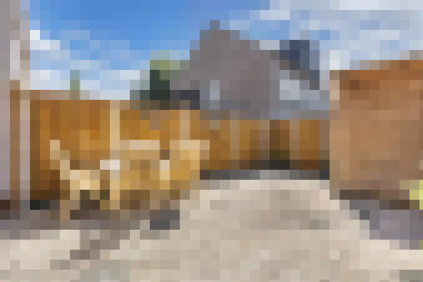 Bosgouw 322 Almere thumbnail 19