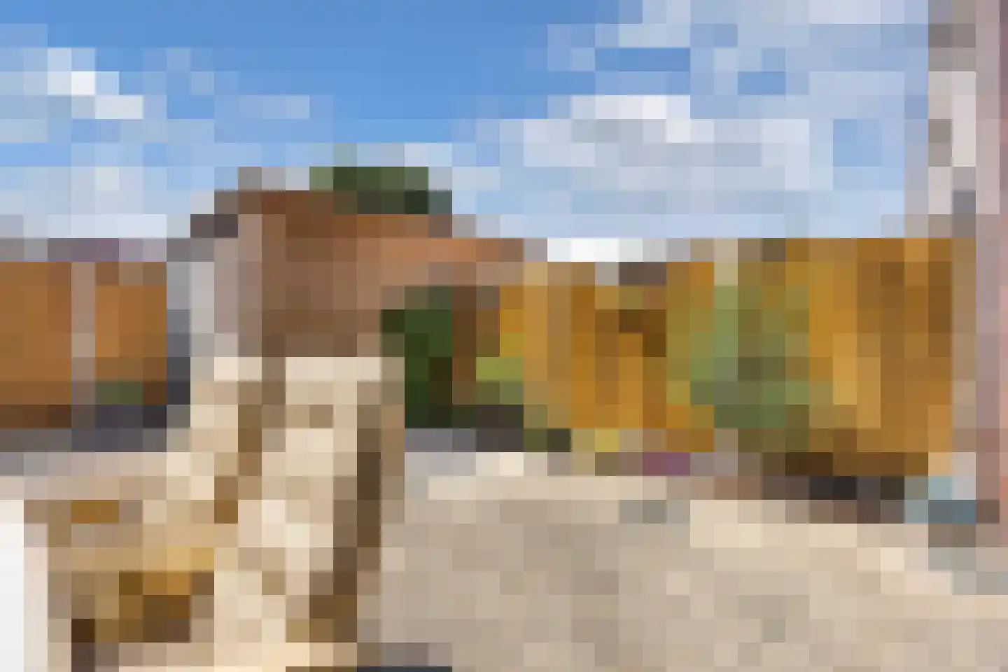 Bosgouw 322 Almere thumbnail 20