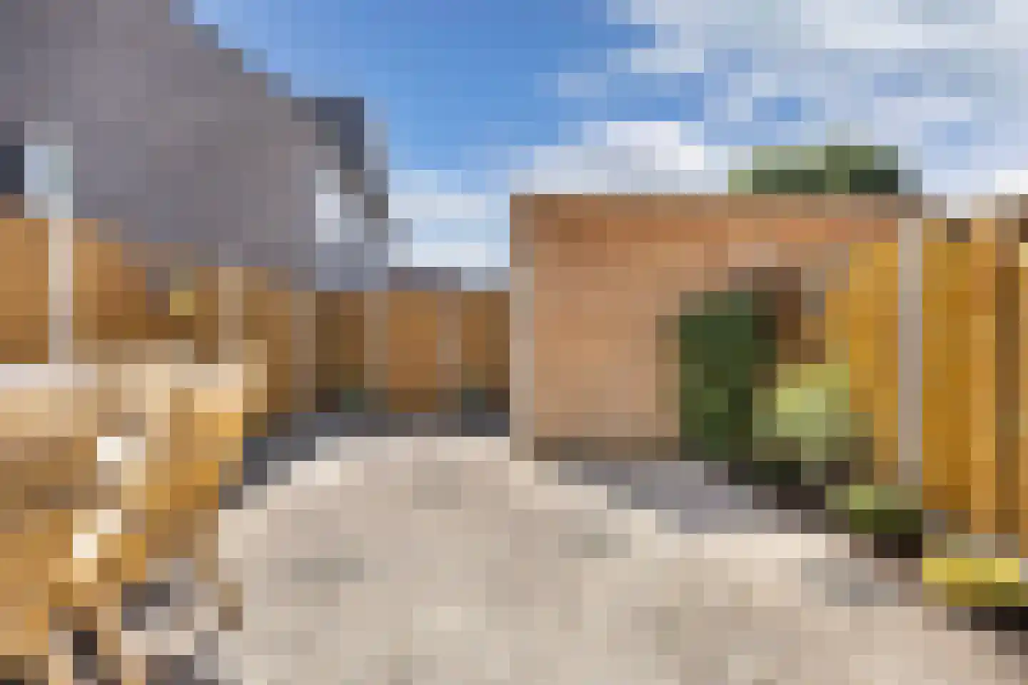 Bosgouw 322 Almere thumbnail 21