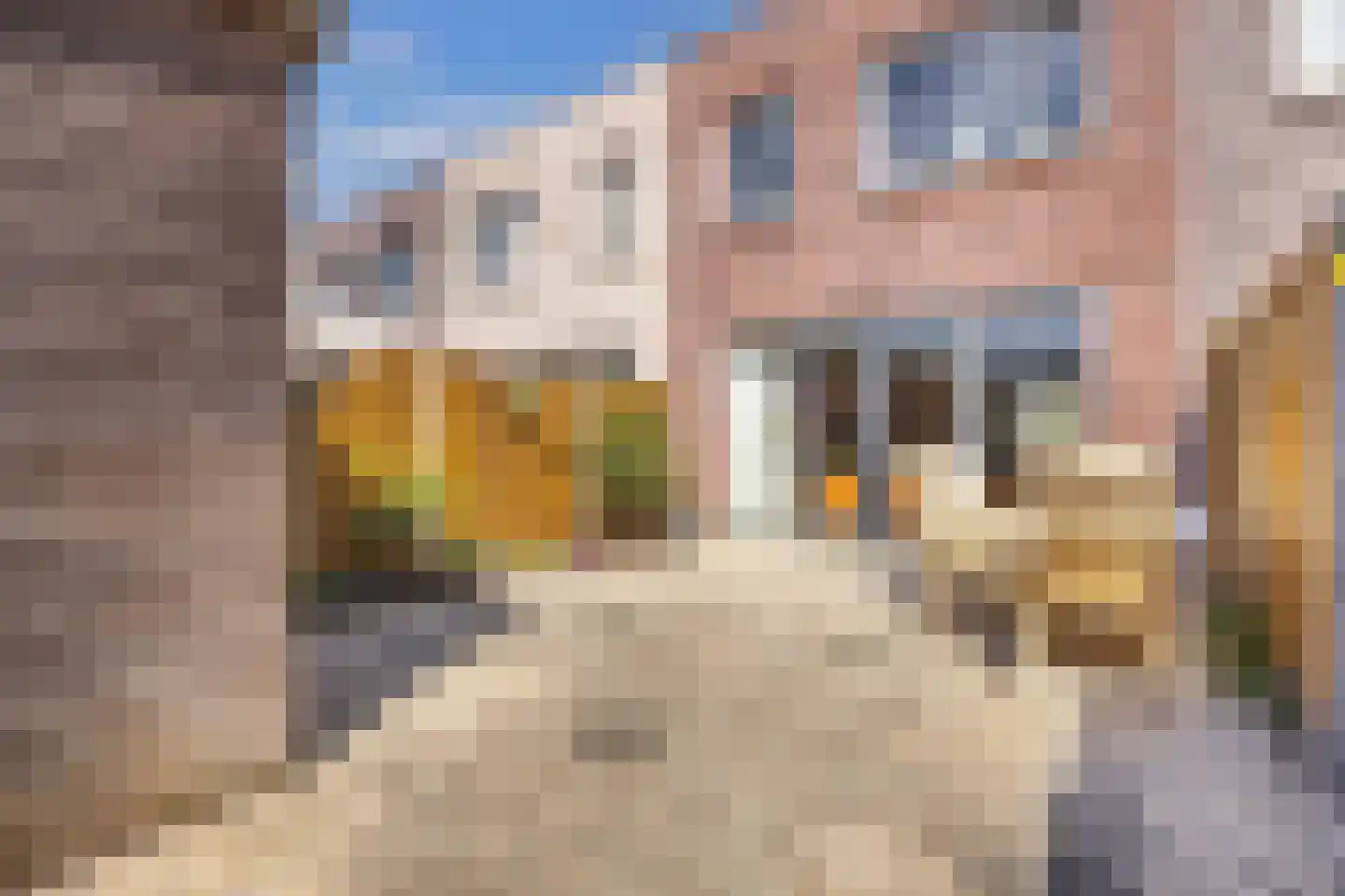 Bosgouw 322 Almere thumbnail 22