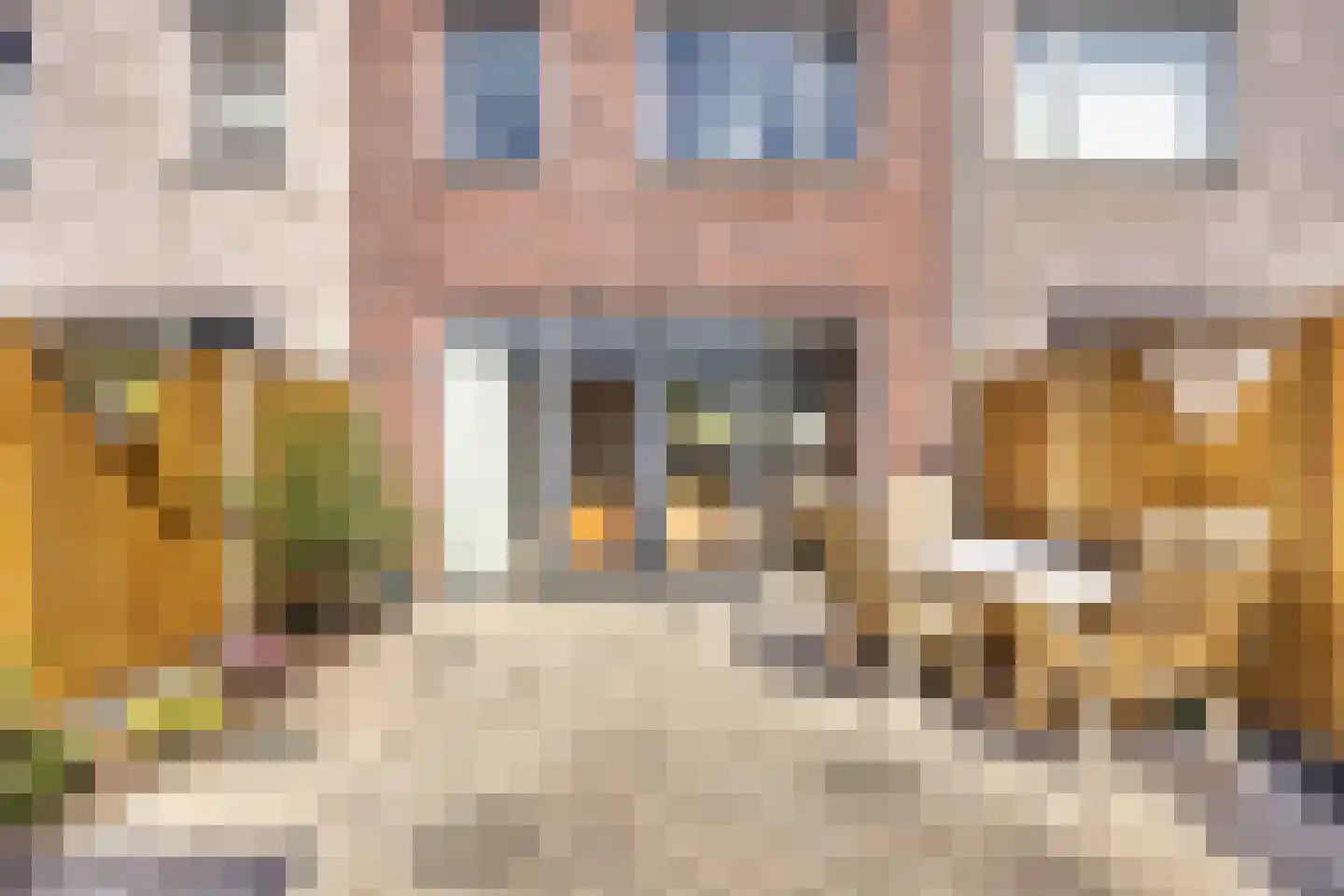 Bosgouw 322 Almere thumbnail 24