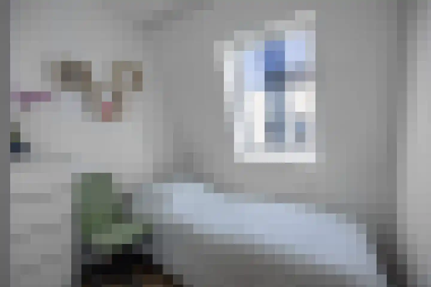 Bosgouw 322 Almere thumbnail 32