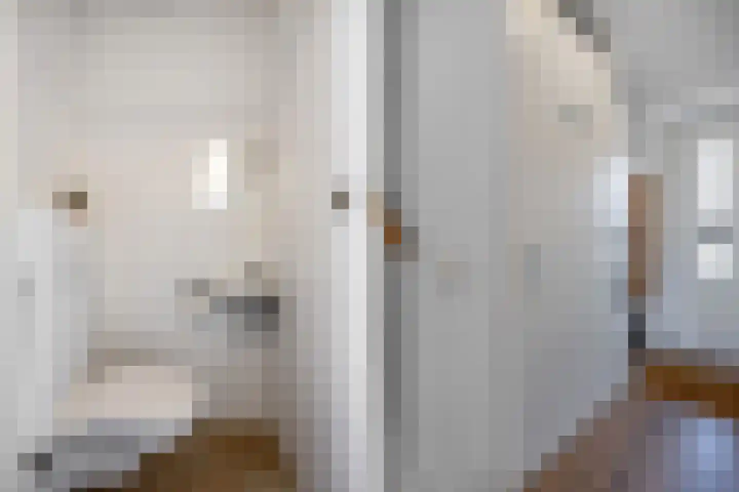 Bosgouw 322 Almere thumbnail 4