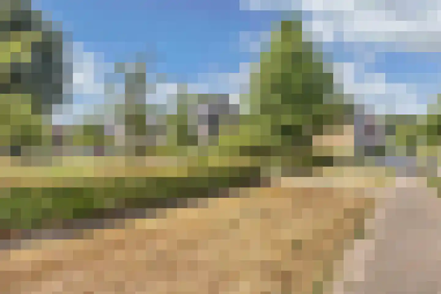 Bosgouw 322 Almere thumbnail 47