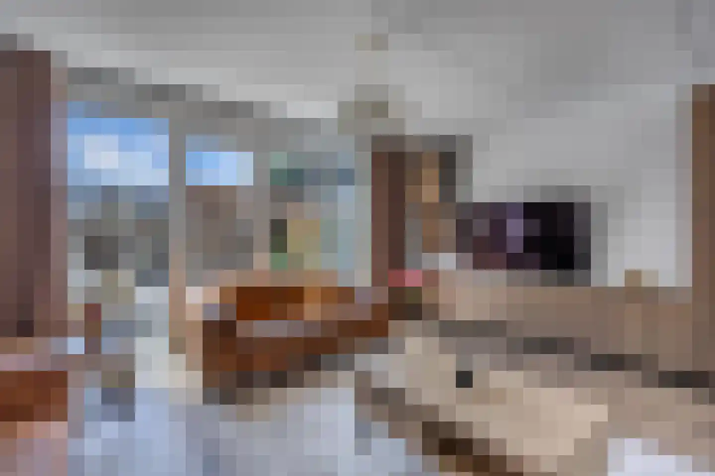 Bosgouw 322 Almere thumbnail 7