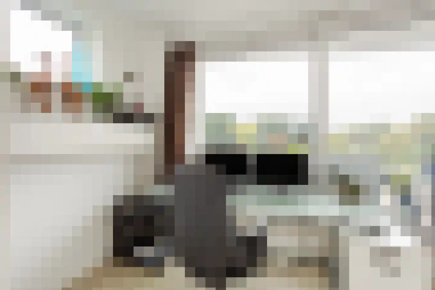 Bosgouw 327 Almere thumbnail 51