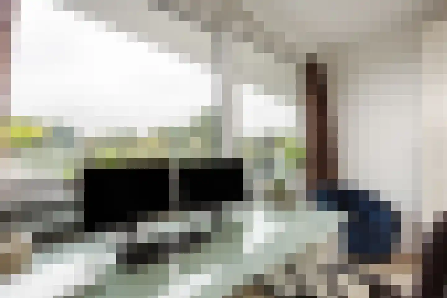 Bosgouw 327 Almere thumbnail 52