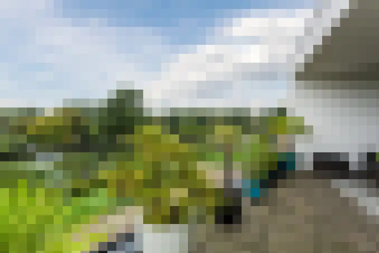 Bosgouw 327 Almere thumbnail 60