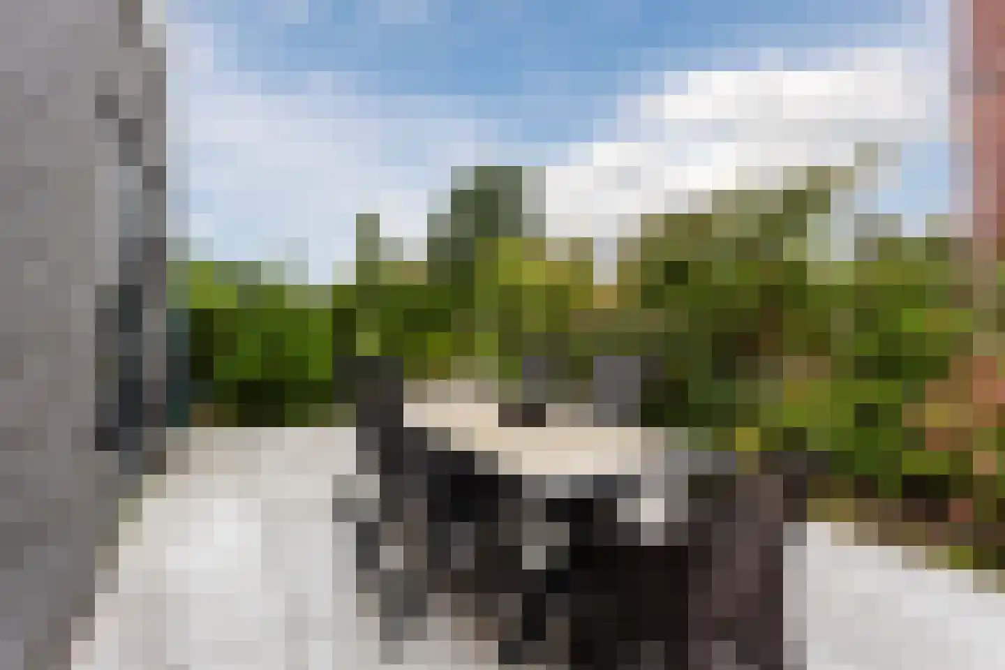 Bosgouw 327 Almere thumbnail 62