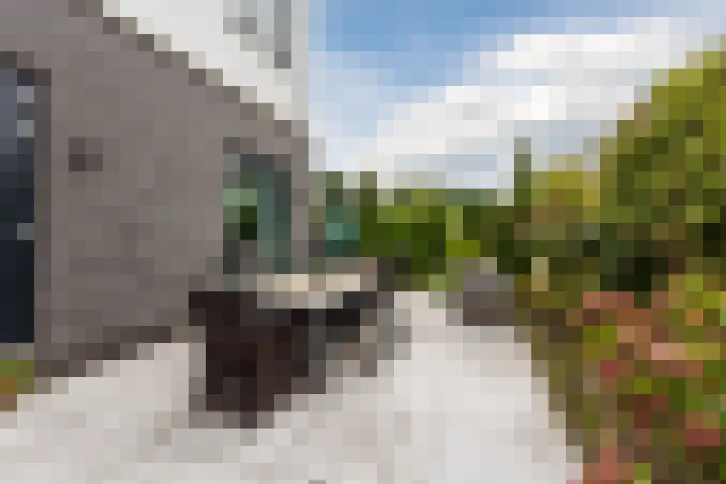 Bosgouw 327 Almere thumbnail 63