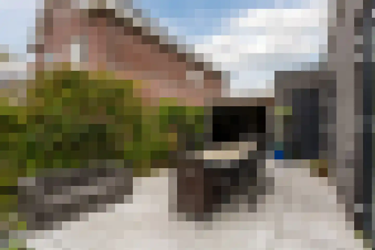 Bosgouw 327 Almere thumbnail 64