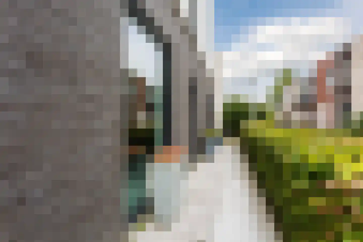 Bosgouw 327 Almere thumbnail 8
