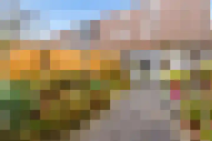 Bosgouw 66 Almere thumbnail 12