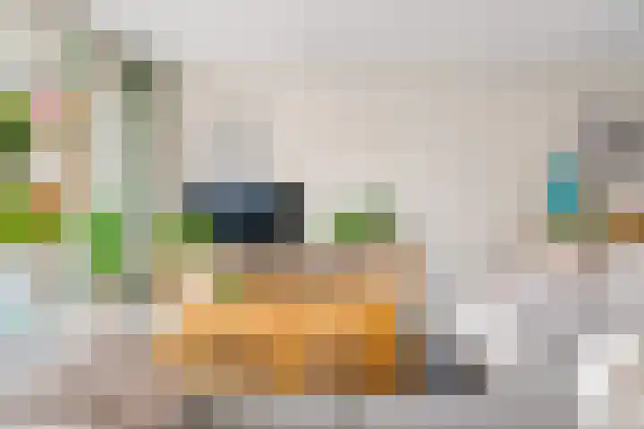 Bosgouw 66 Almere thumbnail 15