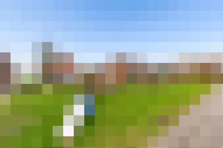 Bosgouw 66 Almere thumbnail 36