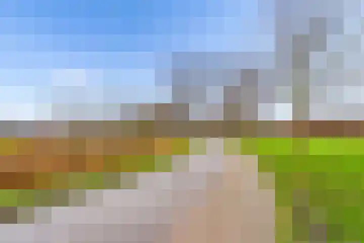 Bosgouw 66 Almere thumbnail 37