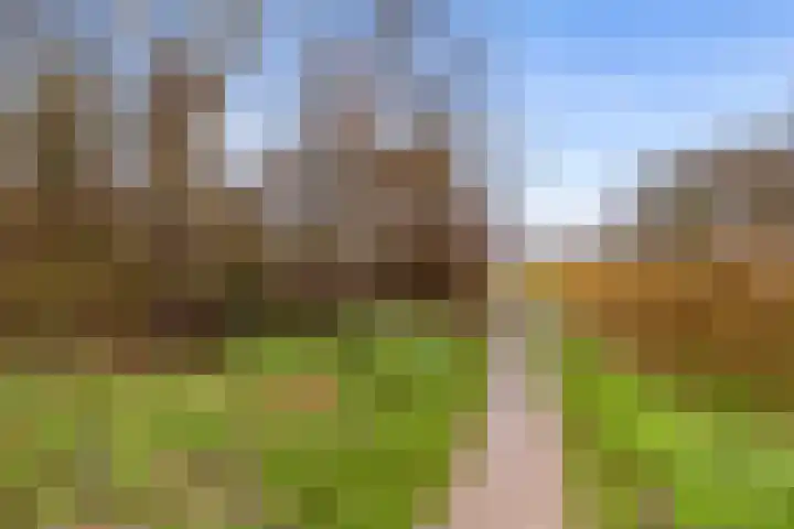 Bosgouw 66 Almere thumbnail 38