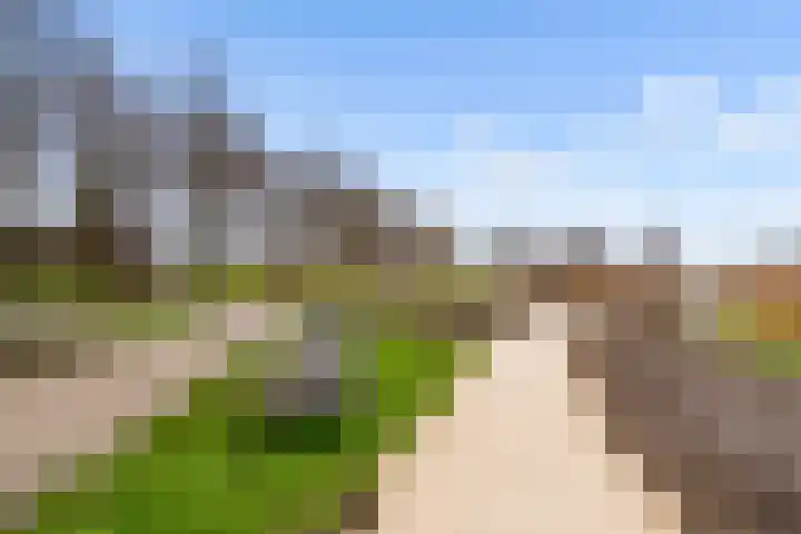 Bosgouw 66 Almere thumbnail 39